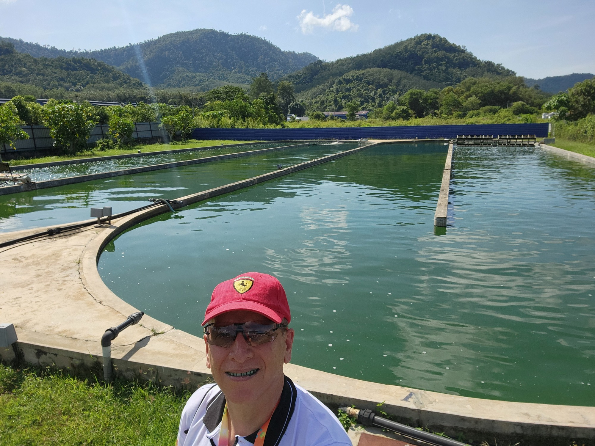 Penang Planta Spirulina