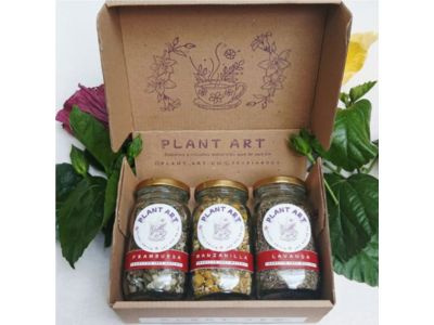 Kit Equilibrio Femeninov