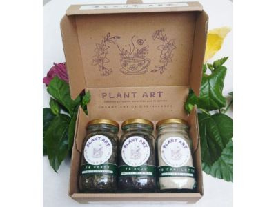 Kit Estímulo con Equilibrio