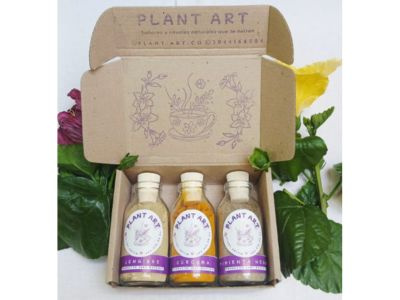 Kit Ritual Saludable