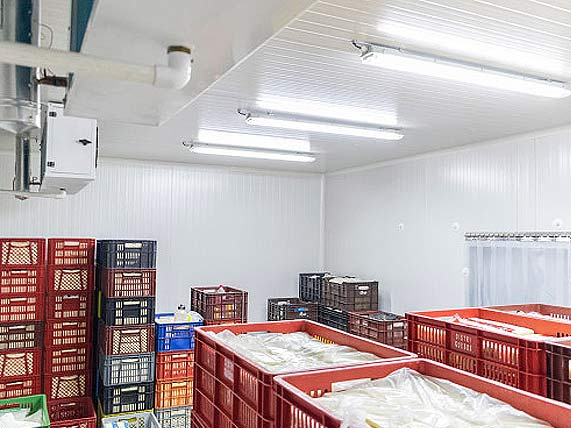 REFRIGERACIÓN INDUSTRIAL