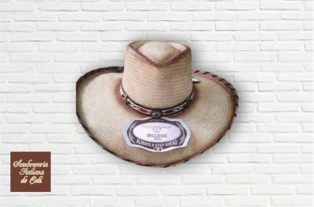 Sombreros para toda Ocasion Cali