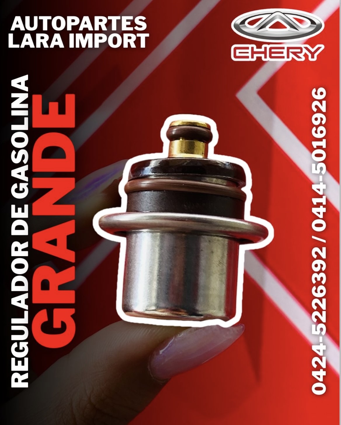 Regulador de Gasolina Chery Grande