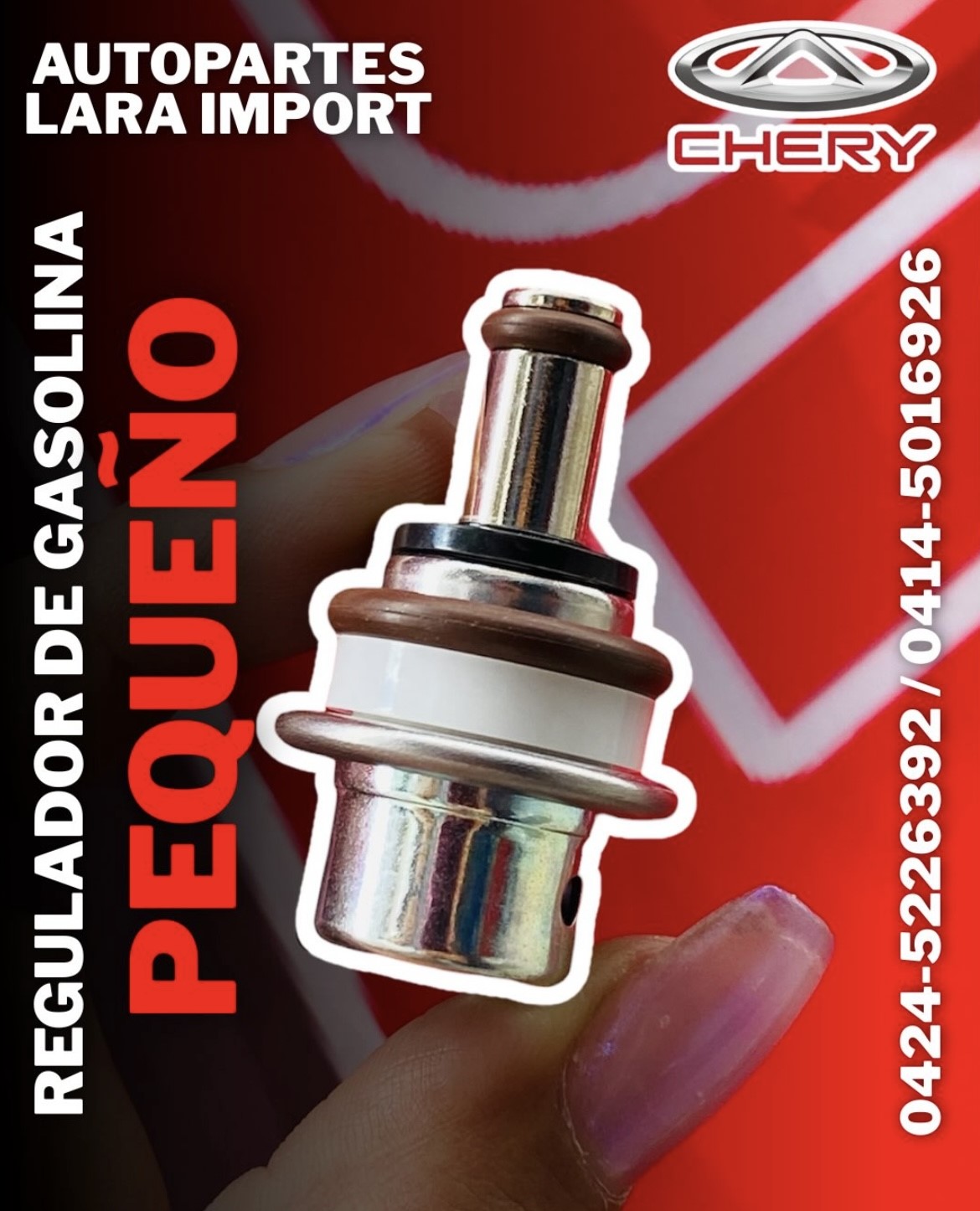 Regulador de Gasolina Chery Pequeño