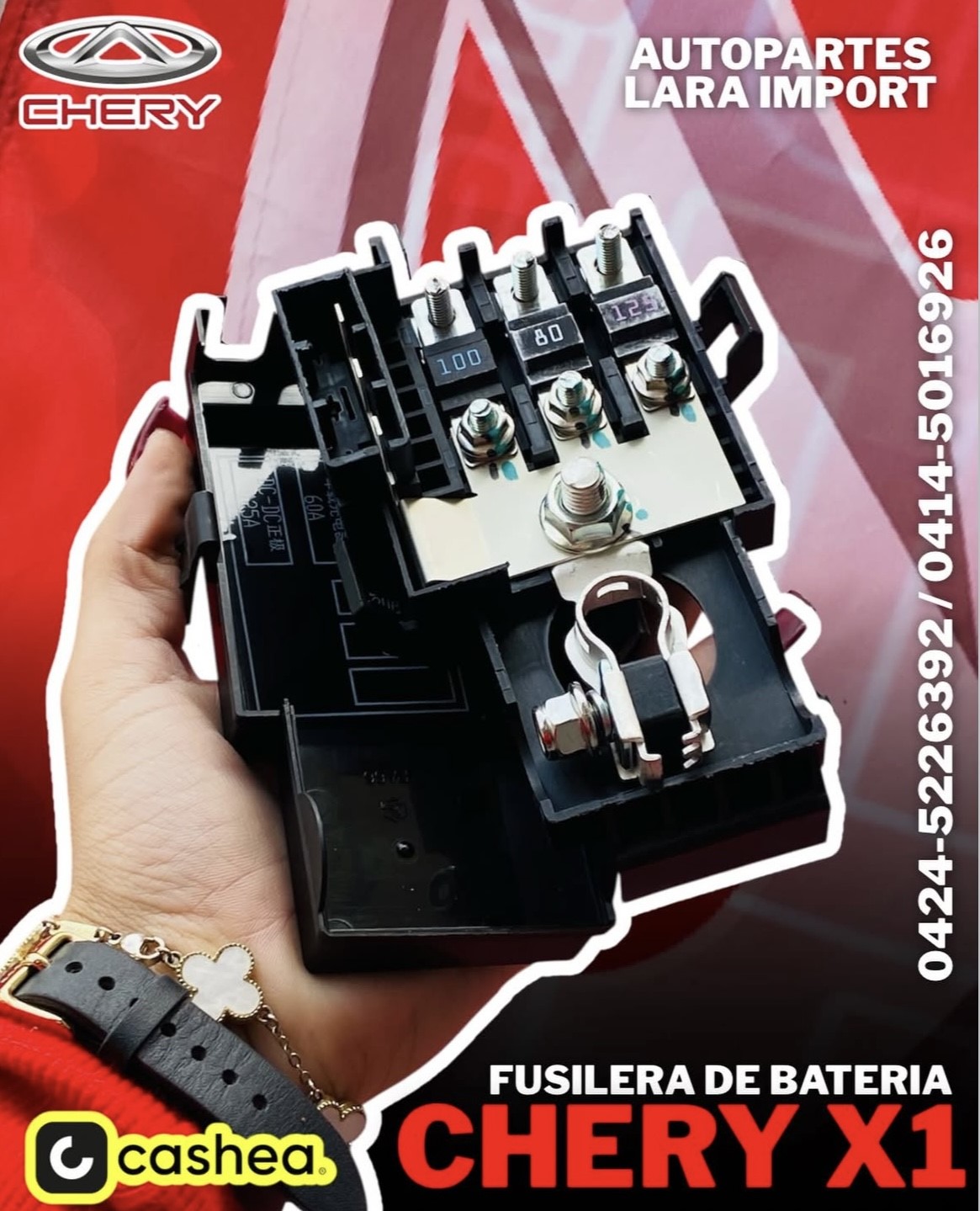 Fusiblera Chery
