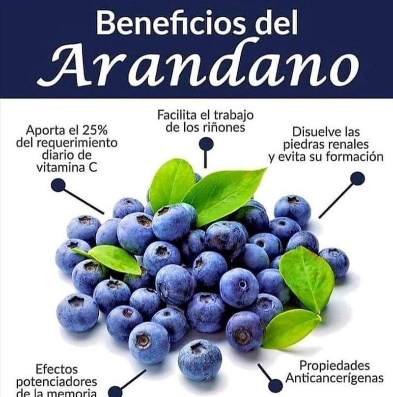 Productos en PDF