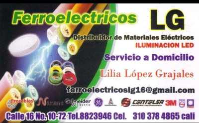 FERROELECTRICOS LG