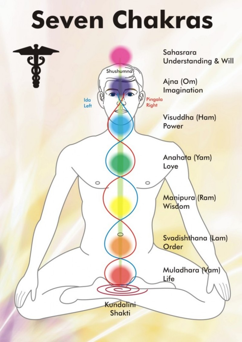 LOS CHAKRA SON:             CHAKRA TERMINAL 