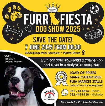 FURR FIESTA DOG SHOW 