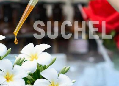 Empresa Suchel