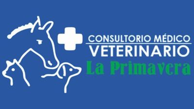 CONSULTORIO MEDICO VETERINARIO LA PRIMAVERA