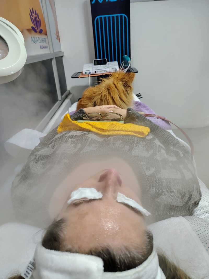 Limpieza Facial Profunda