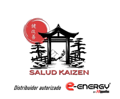 SaludKaizen