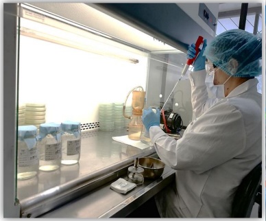 ANALISIS DE LABORATORIO