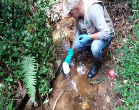 CARACTERIZACIONES Y AFOROS