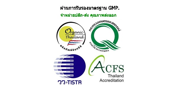 สินค้าของเราผ่านการรับรองมาตรฐานGMP